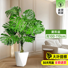 ������ֲ���҃ȿ͏d�����ԾGֲ�ٺ��������~��������Ϙ����B��