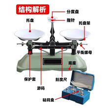 天平称天平秤教具小学初中物理托盘家用实验室高精度