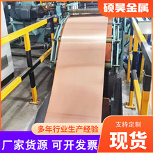 C1100o늽ⳬ~ɷ֗lиT2ܛBa~~