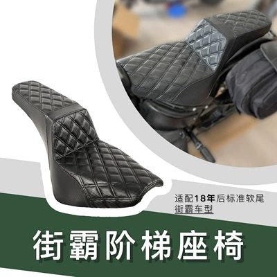Motorcycle Seat Cushion Suitable for Harley 18+ Streetfighter, Standard Soft Tail Step Seat Cushion Market Model, Black (Motorcycle cushion)
