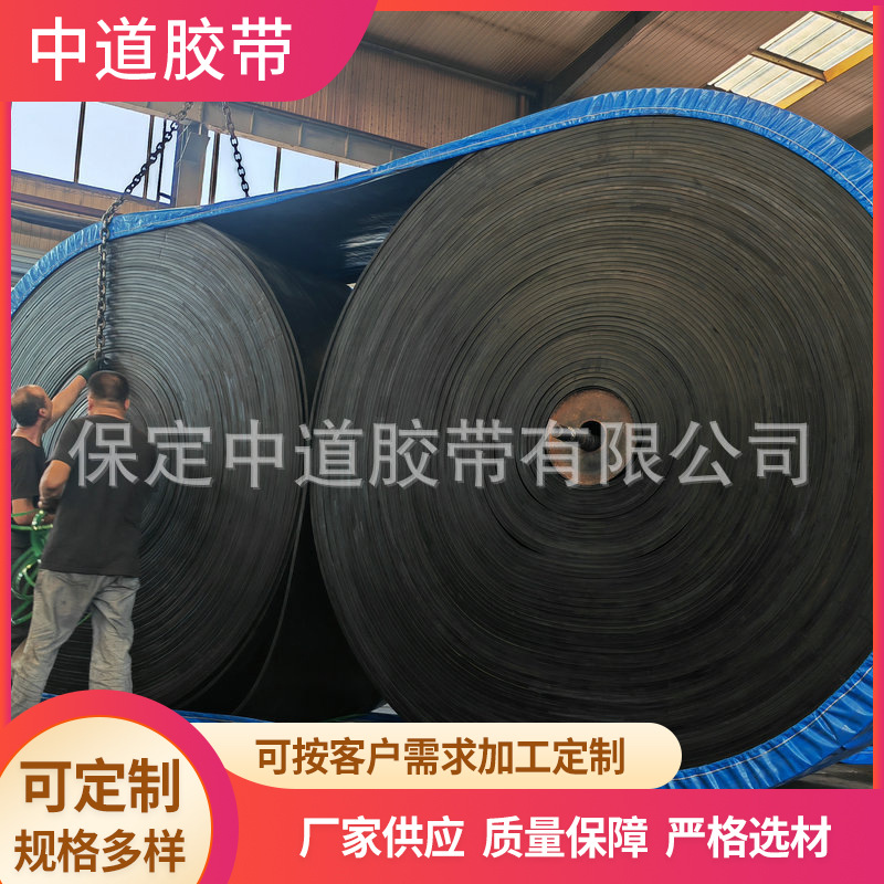 厂家直供 各种规格型号 销售输送带耐热尼龙输送带 NN200尼龙皮带