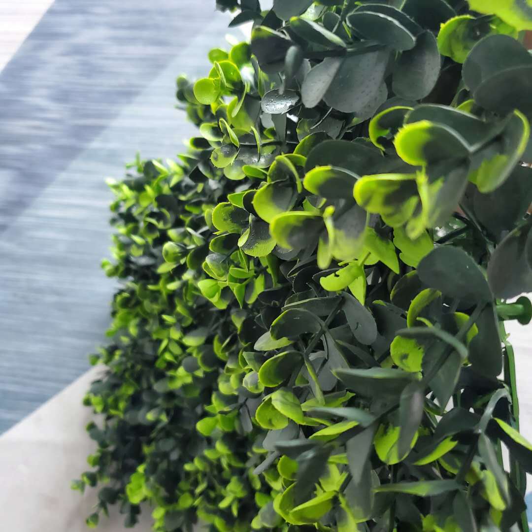 Simulación de hierba de dinero, césped, pared de plantas b1, ignífugo ignífugo eucalipto, decoración de plantas de simulación de hierba de dinero grande