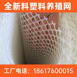 С�����ϾW�����Bֳ�|�W�B�u����ɫ��������������ƽ�W�S��