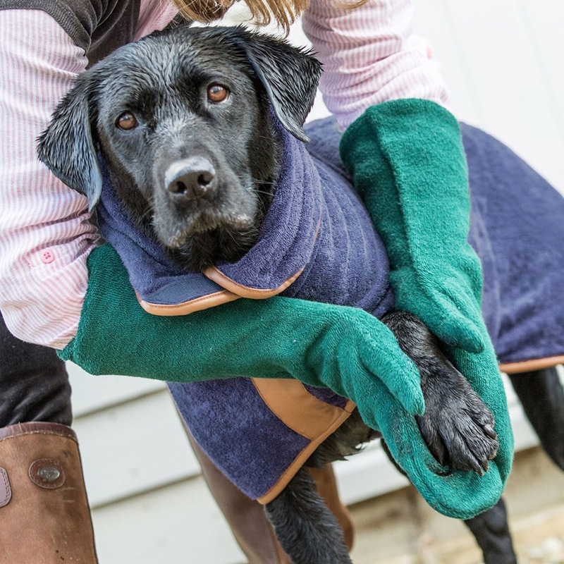 Fábrica transfronteriza spot mascota perro caballo pie limpieza cuidado guantes secos dog cat