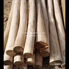 ��ľԭľ�̻�ԭľȥƤ���С��ľ�����������Θ����ľ������