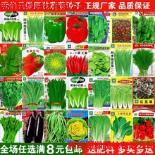 �߲˷N���ļ����N�̨�r��ͥԺ�������˲��˾²���˲�ݮ���ݰ��]