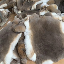 奥地利獭兔皮草原料渐变色原色开发新品皮毛原料加工皮草外套衣服