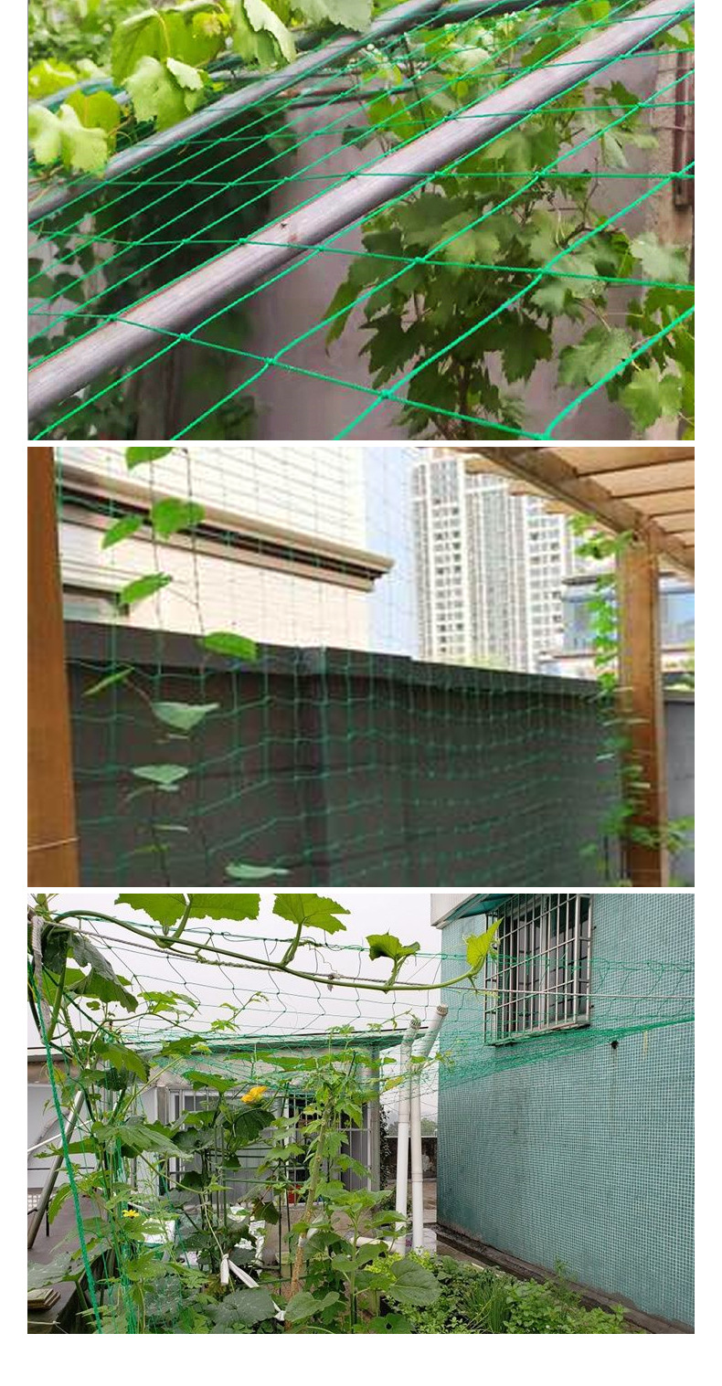 详情_09.jpg