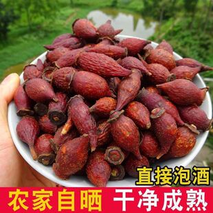 �����Ұ�����r��؛���ݲ��ݾƲ��ϏV�������ӽ�Ӣ�Ӹɹ����