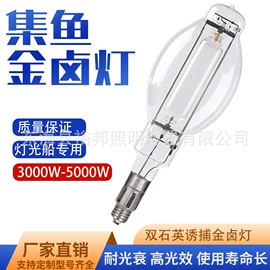 LED集鱼灯;金卤灯;镇流器