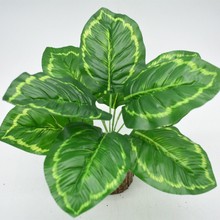 ����ֲ���~9�^��G�}�����~�� ֲ��b���ļٻ���ȸ�~ ���Ի�