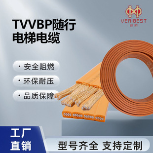 TVVB ����S�б⾀�����͏��ۼӏ�������ȼ��|16о��݌����
