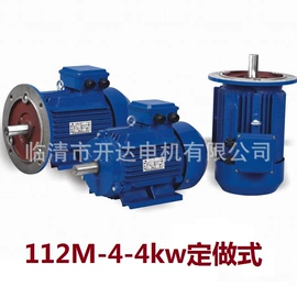 机械用电动机;特殊电机;其他电动机