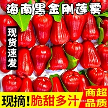 ���ں��Ϻڽ���ɏ�F��5�����r����ˮ��һ�����B�F�ЋDˮ�����]