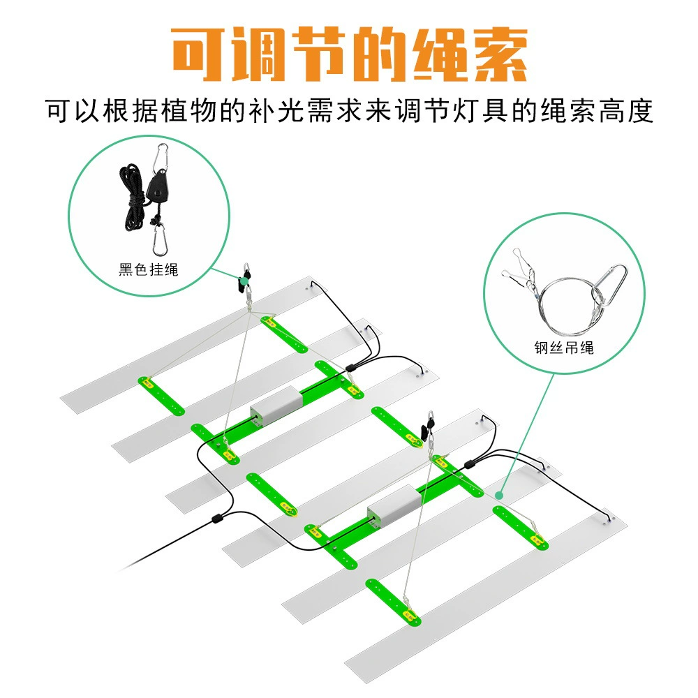 Qianrun LED-лампы, лампа для растений, заполняющий свет, высокая мощность, комфортный спектр света
