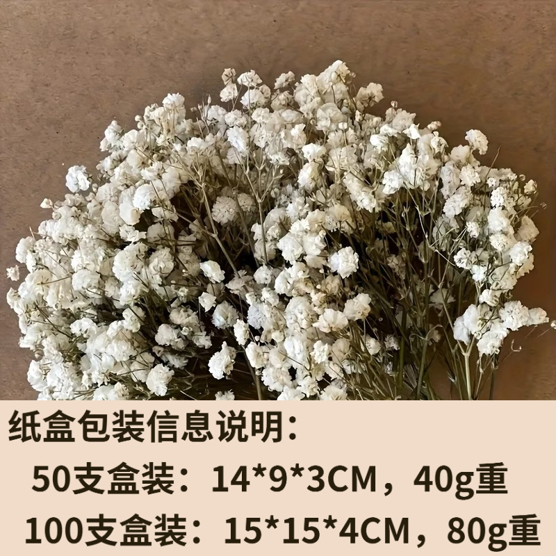 Everlasting Mini Baby's Breath Bulk Short Stems DIY Flower Materials Baby's Breath Flower Heads Dried Flowers Everlasting Flowers Cross-Border Shipping