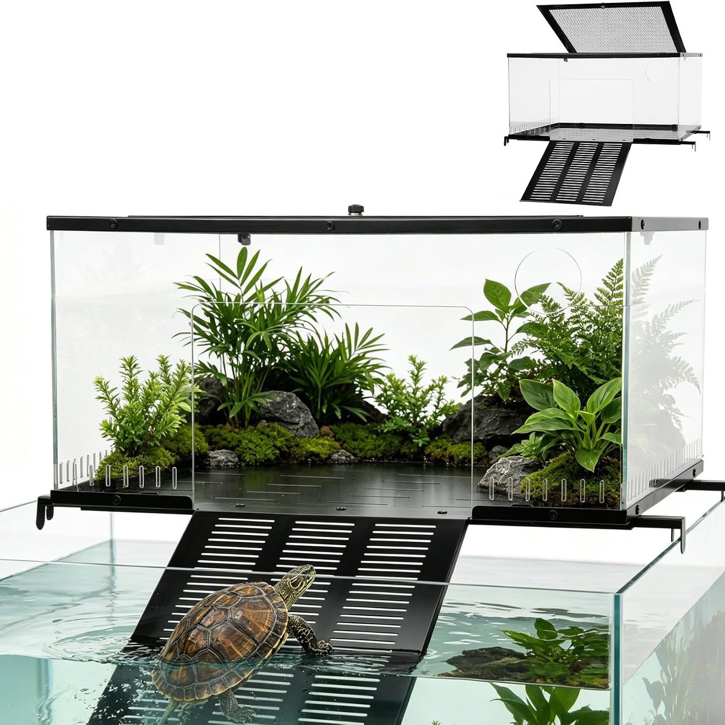 Acuario Ecológico para Tortugas de Acrílico con Plataforma de Escalada image 1