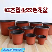 �Ӻ�һ���������pɫ�I�B�����ܴ����辰���Բ�ľ�҃����绨��ֱ�N