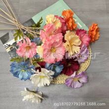 �S��ֱ�N�{ϫ���滨��c��Y·���廨�������üҾӔ[�O�Ĕz����