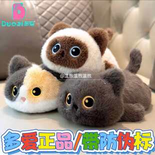 ��������؈�乫�Д[��ë�q���С��؈��ż���_؈��������؈���
