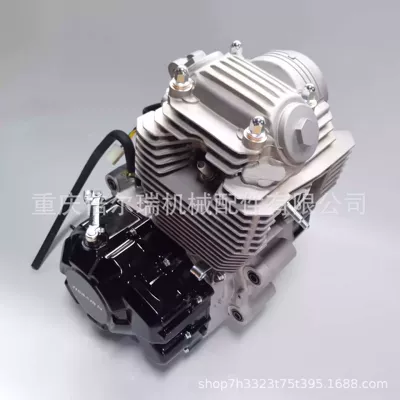 250Cc Engine Assembly – Engine assembly