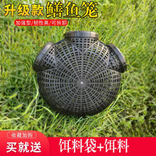 黄鳝笼鳝鱼笼塑料捕黄鳝神器鳝鱼笼子倒须黄善黄鳝笼泥鳅鳝鱼笼