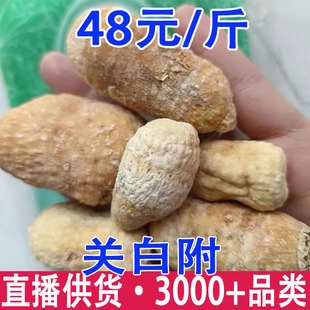 �P�׸� �׸��� �a��؛Դ