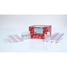 ����Qiagen74904ֲ����RNAС���Լ���RNeasy Plant Mini Kit 50T