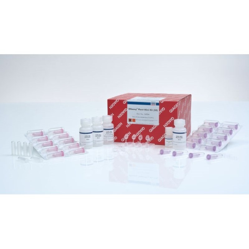 凯杰Qiagen74904植物总RNA小提试剂盒RNeasy Plant Mini Kit 50T