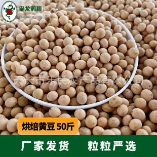 �n�����Z �決���S��50��  ِ�������a�䵰���������������]