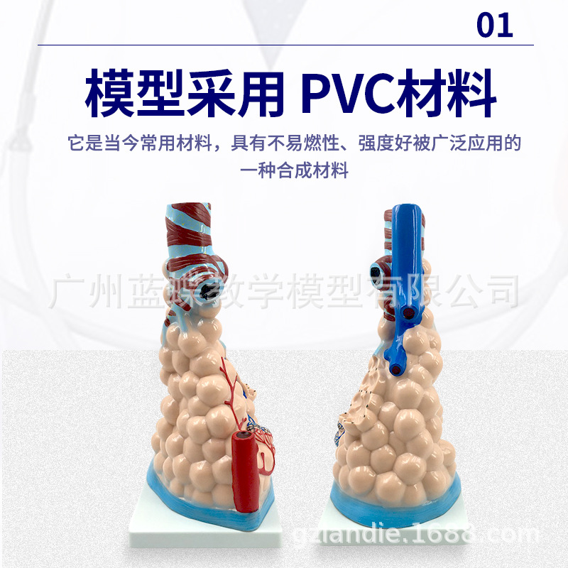 �β�ģ�� ���ͷ��ݷŴ�ģ���������������ģ�� �����ѧģ��