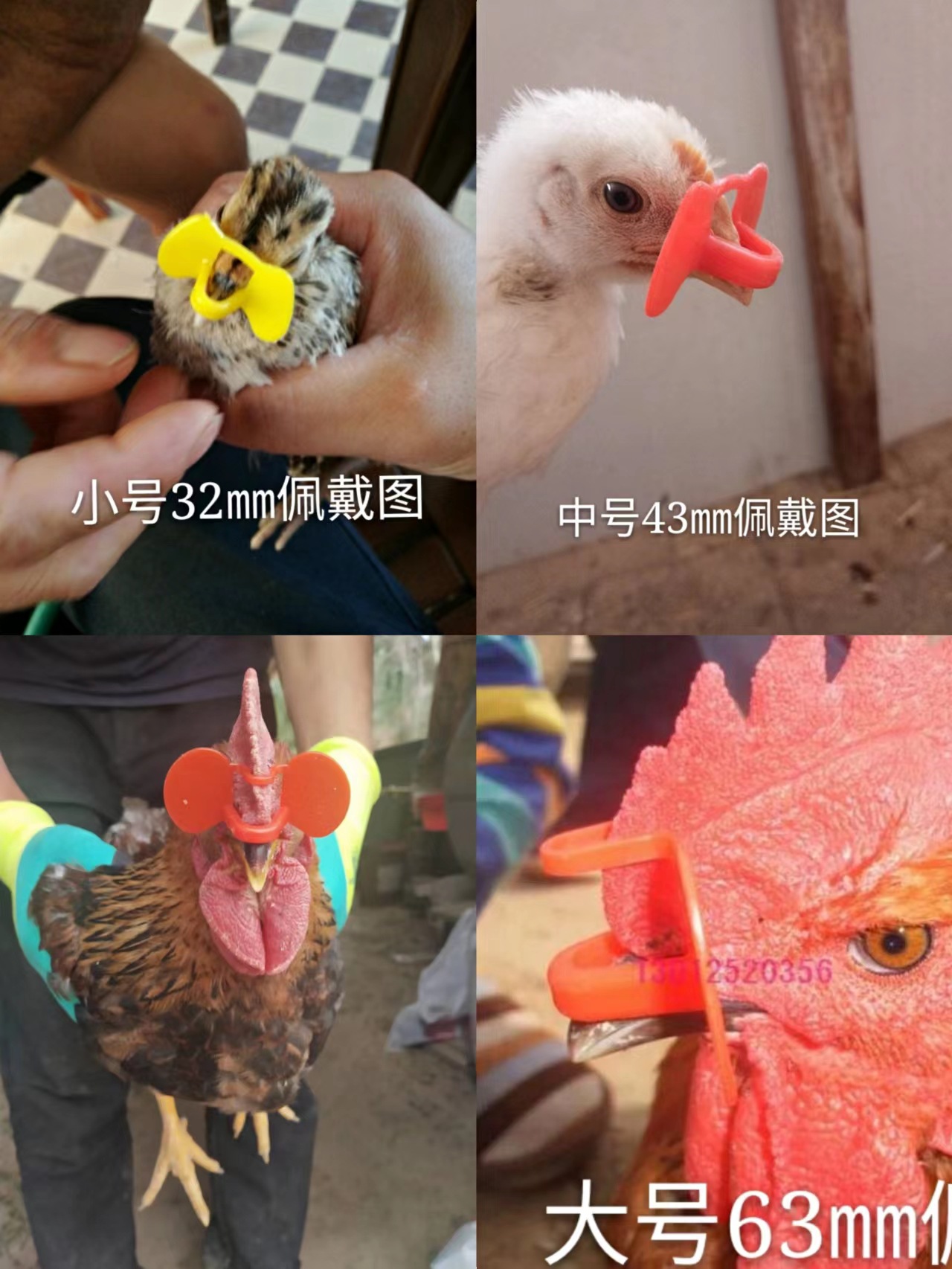 无栓鸡眼镜鸡眼罩防啄毛啄肛啄蛋羽土鸡柴鸡斗鸡山鸡野鸡不穿鼻孔