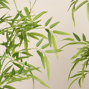 ?���Ӽ����ӾG�������҃�ͥԺ���L�bپGֲ�辰�����쾰ֲ