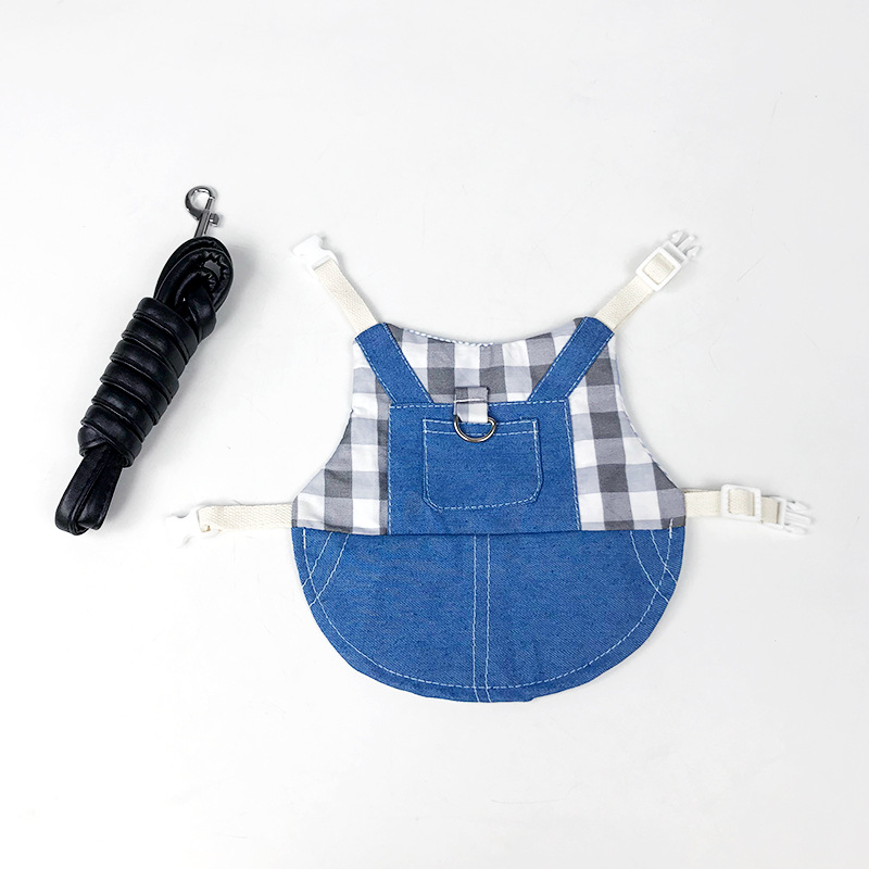 Conejo mascota, conejillo de indias, ropa de conejo de orejas llorones, accesorios, conejo enano, conejo joven, ropa de mezclilla, cuerda de remolque, conejo