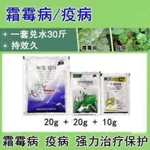 �۹��p�ǃ|�� ˪ù1̖�߲˷����S������˪ù�����߲�����һ������