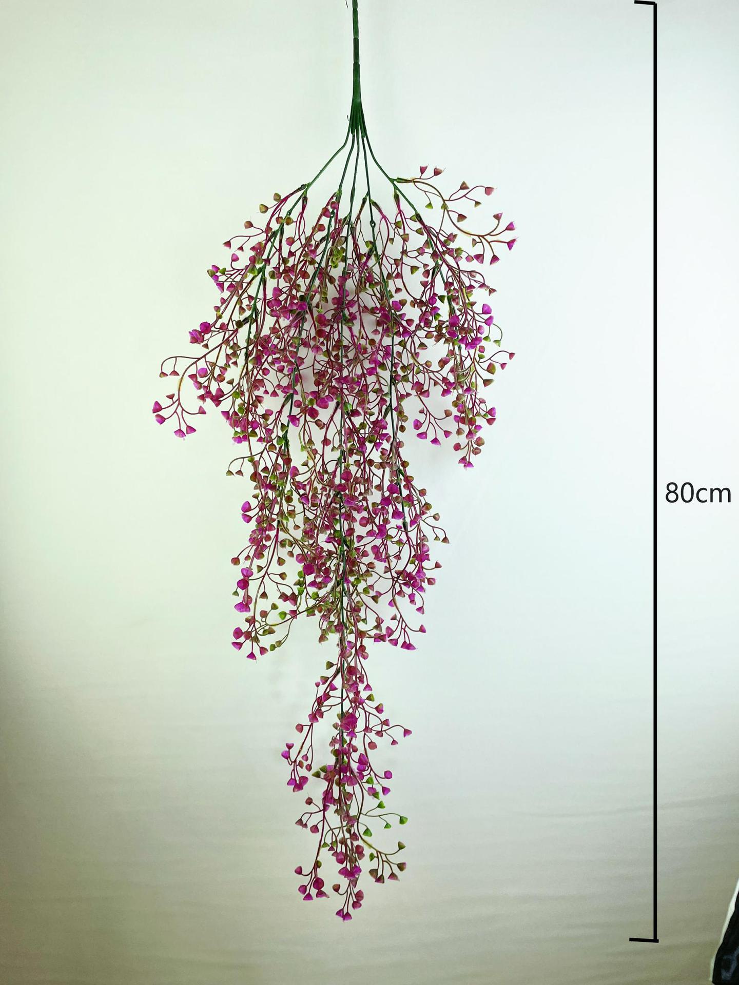 微信图片_20230228193530_毒霸看图