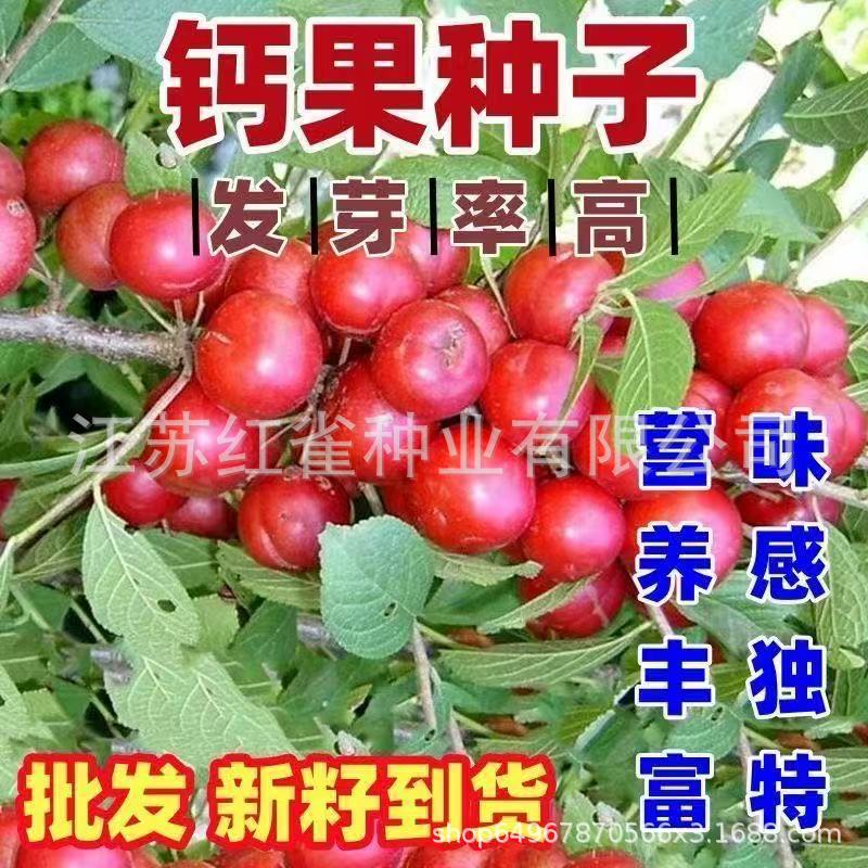 02b6ff916775090bd49e2e47444e47