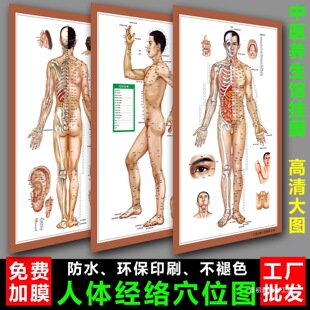 ��Ů�����wʮ�����jѨλ�D���Ò�D���t�B���^�b����İι޺���