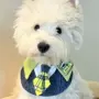 童话卡通可爱大型犬口水巾