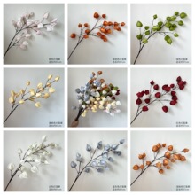 �¿���\����ĭľ�޹���c���滨�Ҿ��b��Wins�W�t��ɫ������