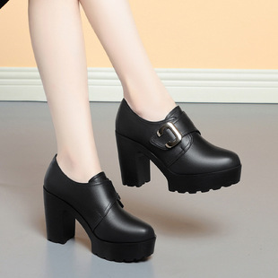 һ�����l��چ�ЬŮ����2025�¿���|�߸�ŮЬ9cm��ˮ̨�ָ�ƤЬ