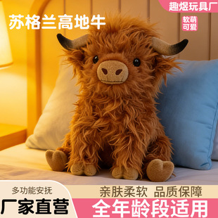 �羳��Ʒ�W�tHighland Cow�����K���m�ߵ�ţ�Lë�q���ţ�������l
