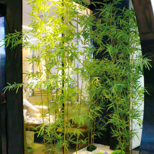 ���������҃��b����L���༚ˮ����������ӾƵ��̈��쾰ֲ��[��