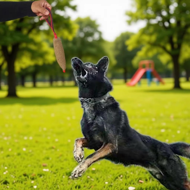 Palitos de juta para treinamento de animais de estimação, alvos duráveis para dentição, brinquedos para cães, palitos para pegar._voghion.com