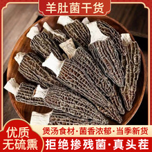 ��Ǿ��oѬ����ǲ����Ģ����خa�߲ʜ����ȸ����؛��CĢ