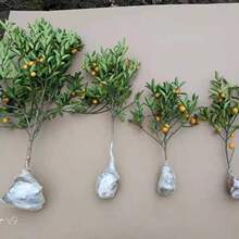 ��ۘ�������С����Ә����Ե����������ʳ���ļ�����������