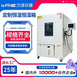 25年生产高低温试验箱 恒温恒湿试验箱 可程式高低温试验箱制作
