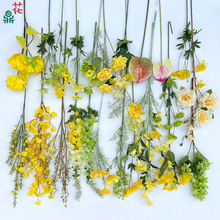 �¿��S�Gɫϵ��Y����廨�b��滨 ��@�鼆���»�ˇ��������