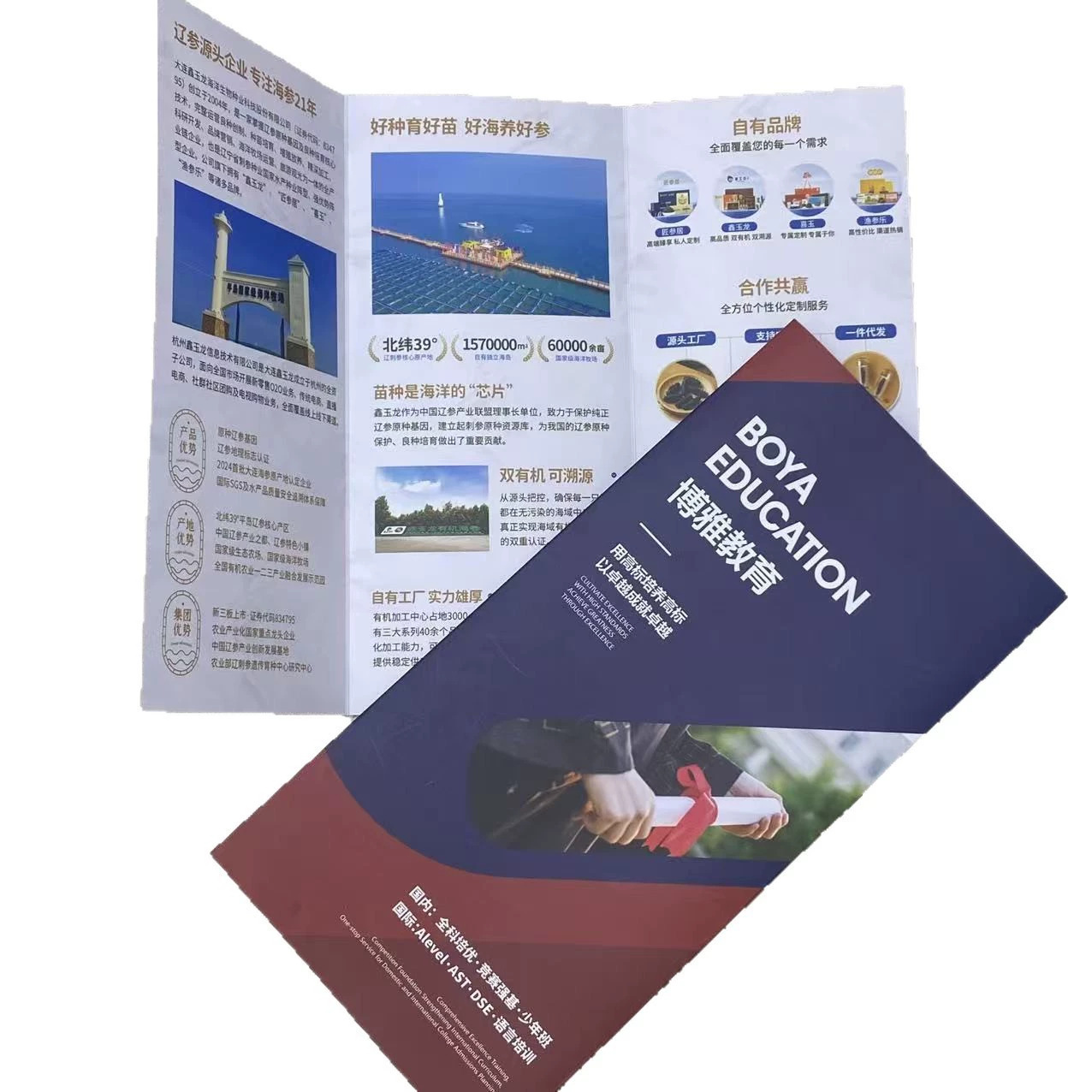 Gallery 4