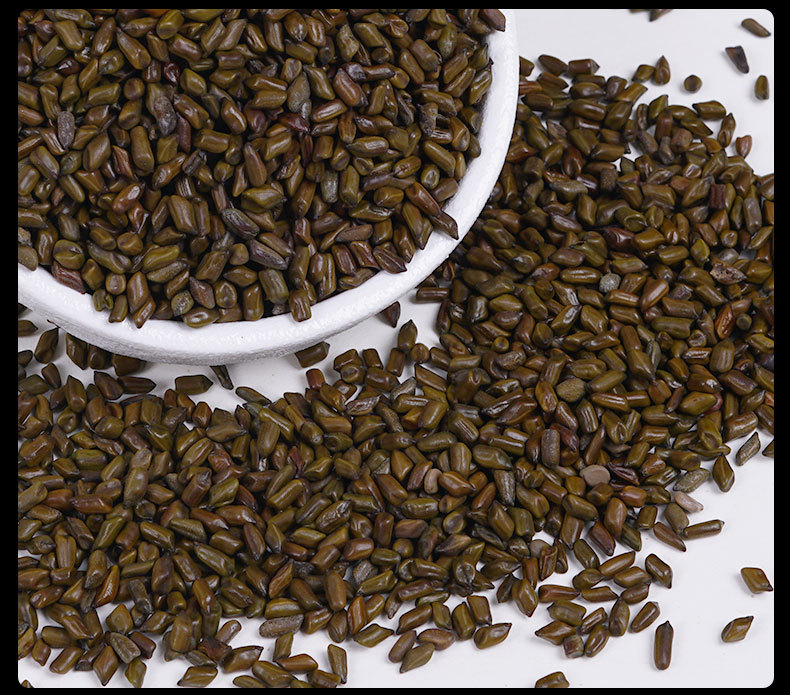 Roasted Cassia Seed Tea (Semen Cassiae) — Jue Ming Zi Herbal Tea, 260g Jar preparation